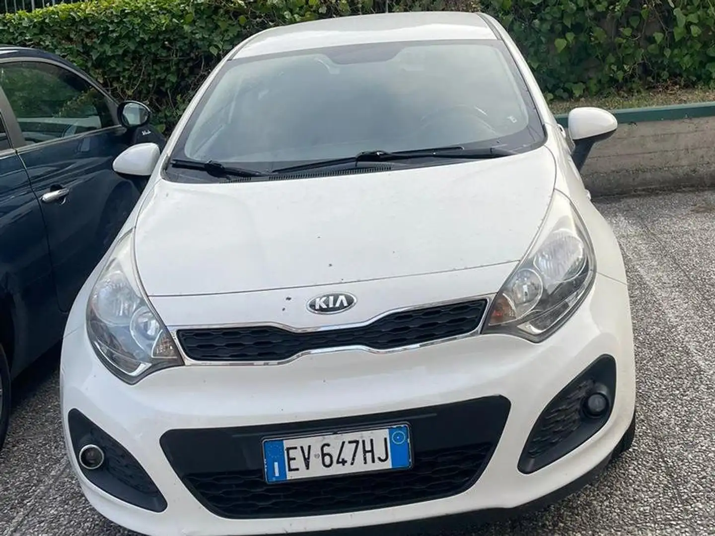 Kia Rio Rio 5p 1.1 crdi Active Bianco - 1