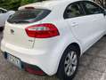 Kia Rio Rio 5p 1.1 crdi Active Bianco - thumbnail 3