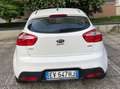 Kia Rio Rio 5p 1.1 crdi Active Bianco - thumbnail 2