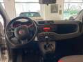 Fiat Panda Panda III 2012 1.2 easypower Lounge Gpl 69cv E6 Argento - thumbnail 7