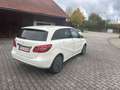 Mercedes-Benz B 250 B-Class 250 eDrive (242.890) Weiß - thumbnail 2
