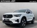 Volvo XC40 B3 Benzin MHEV Plus Dark PANO 360°ACC Biały - thumbnail 1