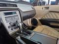 Ford Mustang *Klima*Temp*Radio*Leder* Weiß - thumbnail 8