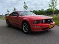 Ford Mustang Mustang 4.6 V8 Rood - thumbnail 3