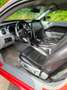 Ford Mustang Mustang 4.6 V8 Rood - thumbnail 7