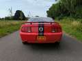 Ford Mustang Mustang 4.6 V8 Rood - thumbnail 5