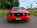 Ford Mustang Mustang 4.6 V8 Rood - thumbnail 2