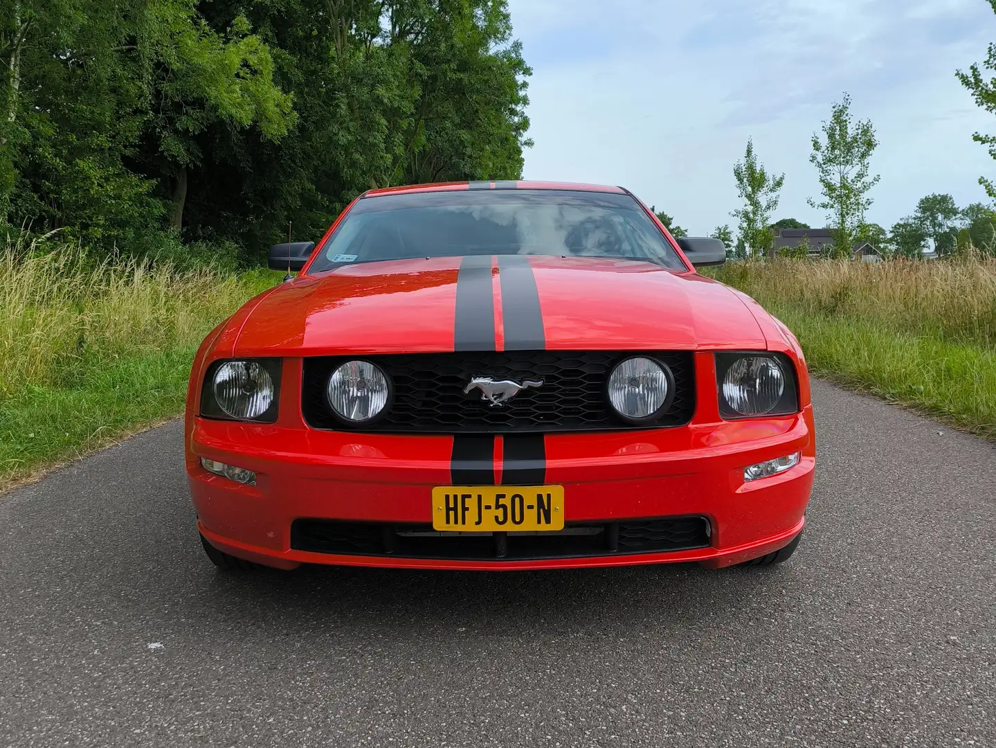 Ford Mustang Mustang 4.6 V8 Rood - 2