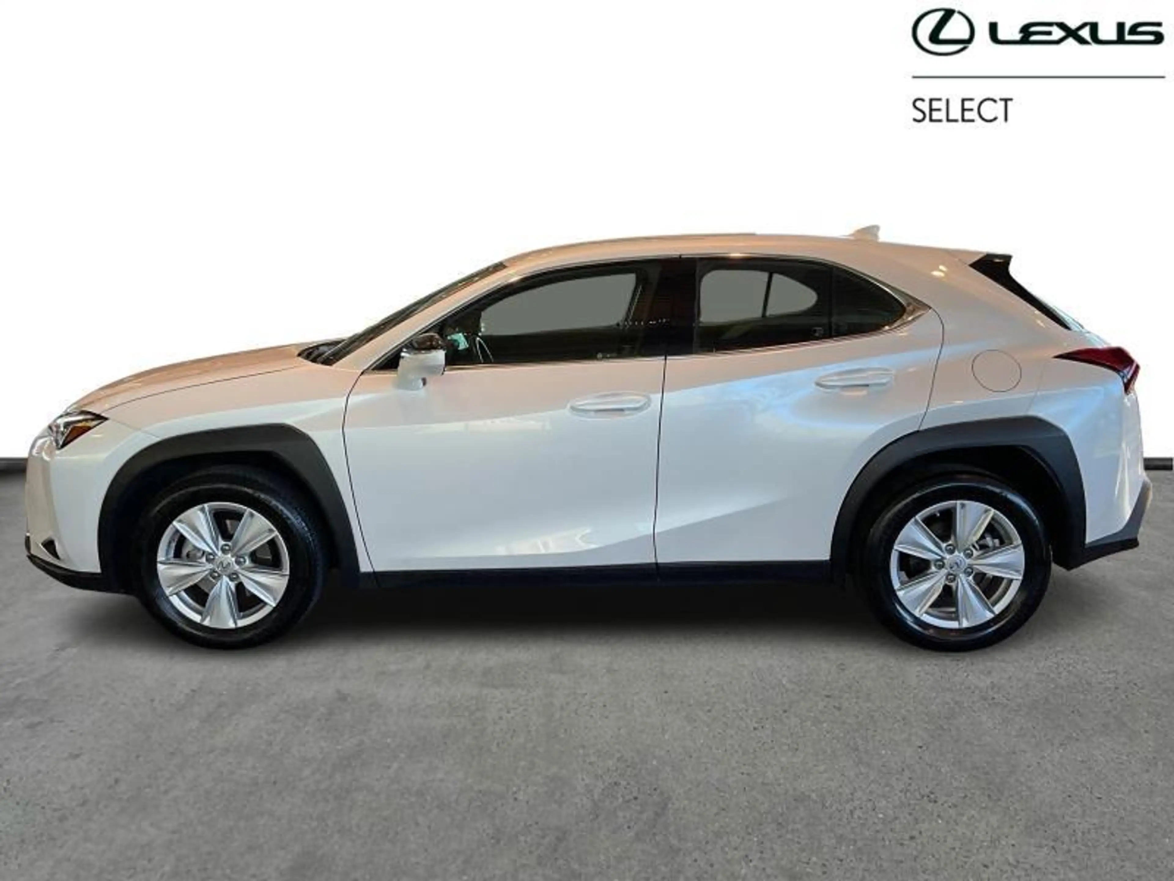 Lexus UX 250h Urban | navi | carplay | ACC — photo 3
