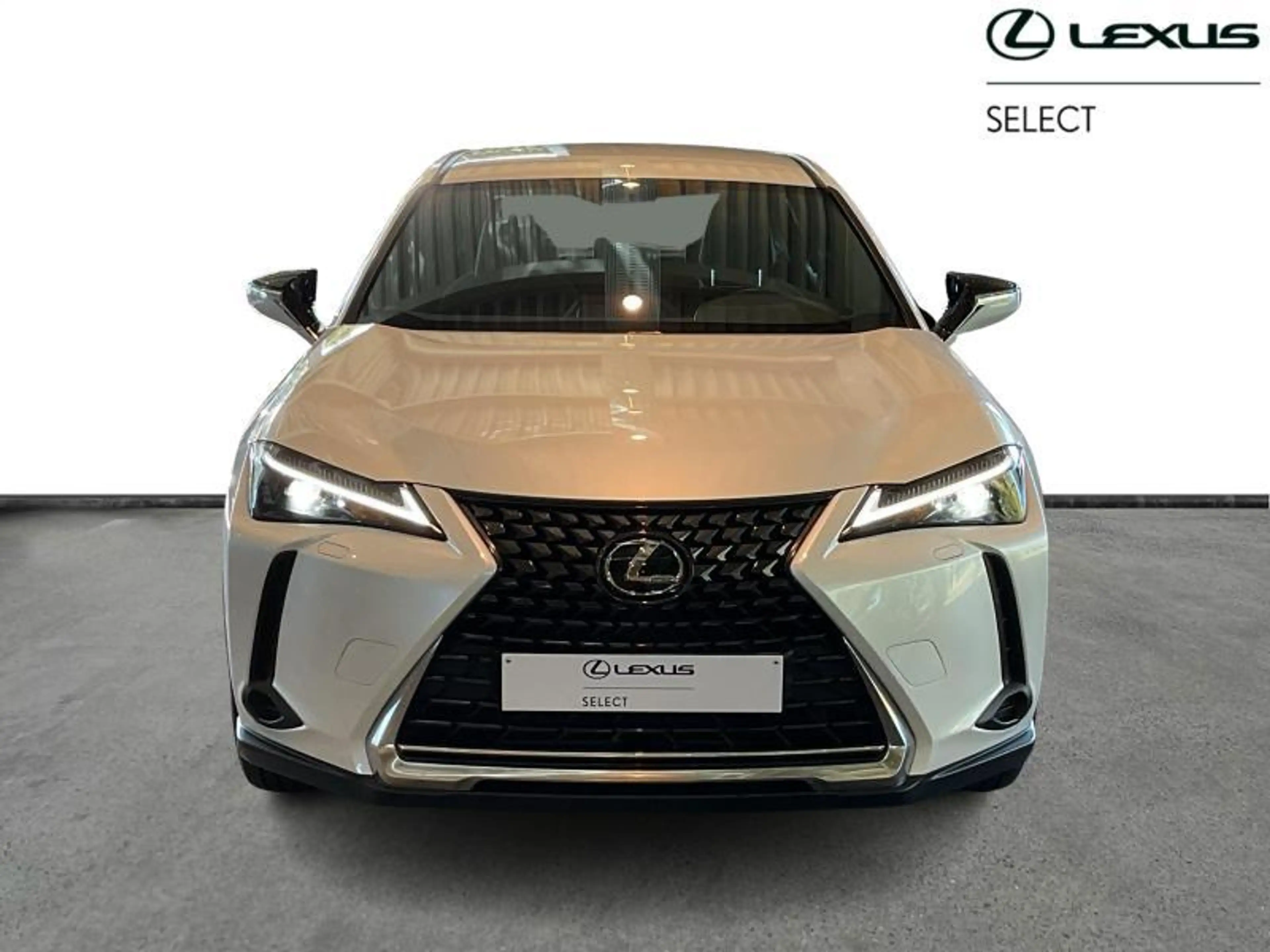 Lexus UX 250h Urban | navi | carplay | ACC — photo 5