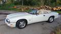 Jaguar XJSC XJS 4,0 Cabrio 2+2 Aut. Білий - thumbnail 13