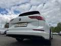 Volkswagen Golf Variant VIII R-Line 2.0 TSI RearView Matrix-LED Head-up Na Weiß - thumbnail 13