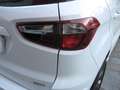 Ford EcoSport 1.5 TDCi 100 CV Start&Stop ST-Line - thumbnail 7