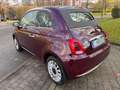 Fiat 500C 500C 1.0i MHEV Dolcevita°GPS°GARANTIE° Paars - thumbnail 3