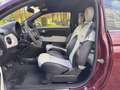 Fiat 500C 500C 1.0i MHEV Dolcevita°GPS°GARANTIE° Paars - thumbnail 6
