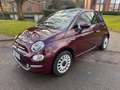 Fiat 500C 500C 1.0i MHEV Dolcevita°GPS°GARANTIE° Paars - thumbnail 2