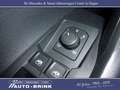 Volkswagen Polo VI DSG Life Navi/PTS+RFK/LED/Alu/11tkm Silber - thumbnail 20