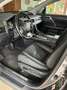 Lexus RX 450h RX 450h (hybrid) Executive Line Grau - thumbnail 8