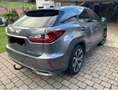 Lexus RX 450h RX 450h (hybrid) Executive Line Grau - thumbnail 2