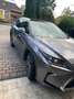 Lexus RX 450h RX 450h (hybrid) Executive Line Grau - thumbnail 3