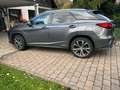 Lexus RX 450h RX 450h (hybrid) Executive Line Grau - thumbnail 4