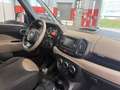 Fiat 500L 1.3 mjt Lounge 85cv Negru - thumbnail 13