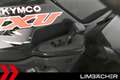 Kymco MXU 250 Lieferung bundesweit Schwarz - thumbnail 15