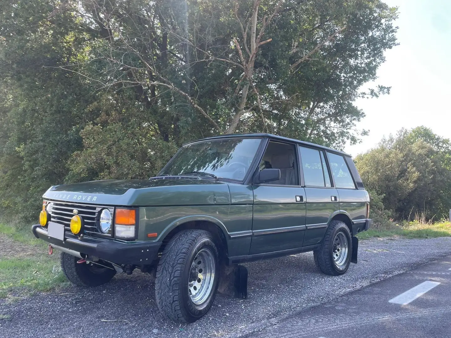 Land Rover Range Rover Range Rover 5p 3.9i Vogue Grün - 1