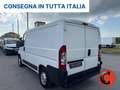 Fiat Ducato (BOXER)2.2 FRIGO-0°GRADI SENZA ATP STRADA RETE Alb - thumbnail 5