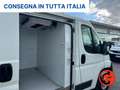 Fiat Ducato (BOXER)2.2 FRIGO-0°GRADI SENZA ATP STRADA RETE Alb - thumbnail 27