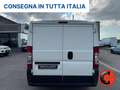 Fiat Ducato (BOXER)2.2 FRIGO-0°GRADI SENZA ATP STRADA RETE Alb - thumbnail 6