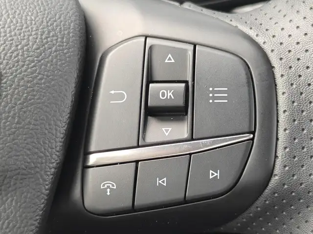 Ford Kuga view 13