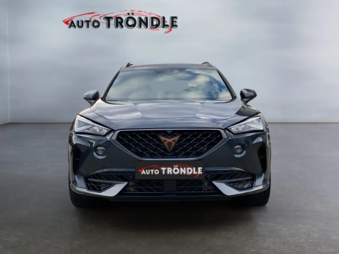 CUPRA Formentor 2.0 TSI DSG 4Drive VZ +Pano+AHK+Beats Grau - 2