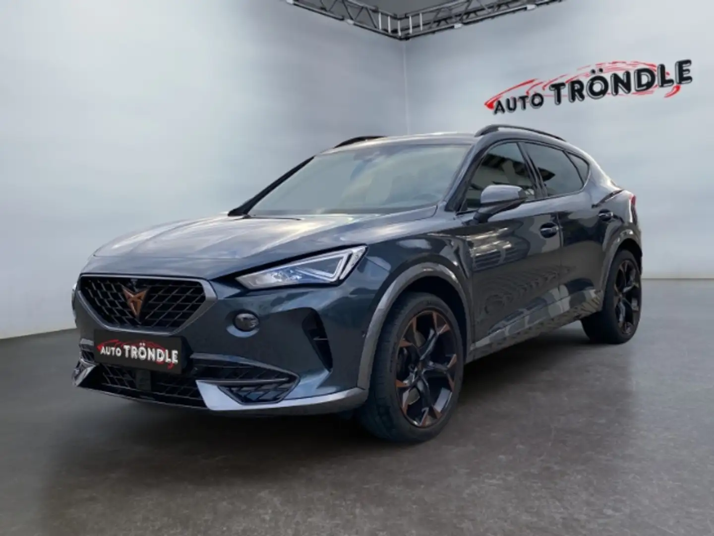CUPRA Formentor 2.0 TSI DSG 4Drive VZ +Pano+AHK+Beats Grau - 1