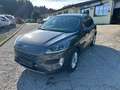 Ford Kuga Titanium Aut. Winterpaket, Rückfahrkamera Grau - thumbnail 1
