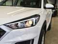 Hyundai TUCSON PURE KLIMA AHK TÜV + SERVICE NEU 1.HAND Weiß - thumbnail 23