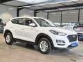 Hyundai TUCSON PURE KLIMA AHK TÜV + SERVICE NEU 1.HAND Weiß - thumbnail 3