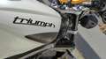 Triumph Street Triple RS Bianco - thumbnail 6