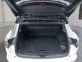 Renault Austral E-Tech Full Hybrid 200 Techno Aut. Weiß - thumbnail 11