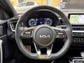Kia ProCeed / pro_cee'd BUSINESS 1.5l T-GDi 160 CV DCT 7 GT Line Business Toit Ouvrant Noir - thumbnail 38