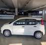 Fiat Panda 1.0 hybrid icon Bianco - thumbnail 3