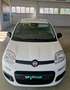 Fiat Panda 1.0 hybrid icon Bianco - thumbnail 2
