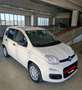 Fiat Panda 1.0 hybrid icon Bianco - thumbnail 1