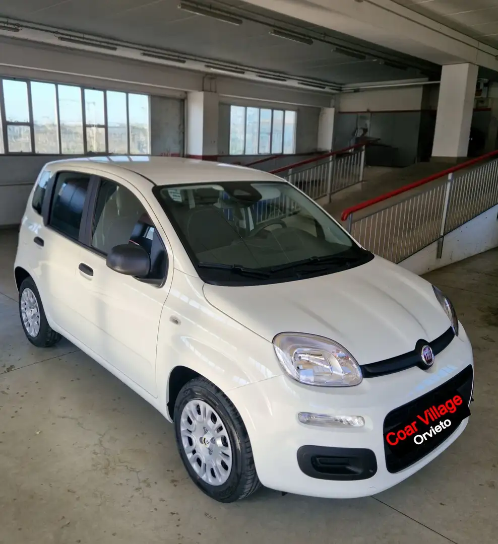Fiat Panda 1.0 hybrid icon Bianco - 1