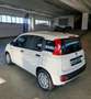 Fiat Panda 1.0 hybrid icon Bianco - thumbnail 4