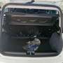 Fiat Panda 1.0 hybrid icon Bianco - thumbnail 10
