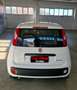 Fiat Panda 1.0 hybrid icon Bianco - thumbnail 5