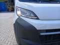 Opel Movano Kasten 2.2 Blue-HDI Maxi L3H2 3.5t Weiß - thumbnail 9