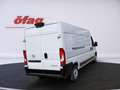 Opel Movano Kasten 2.2 Blue-HDI Maxi L3H2 3.5t Weiß - thumbnail 5