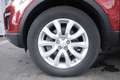 Land Rover Range Rover Evoque Land Rover RR Evoque 2.0 TD4 150 CV 5p. HSE 110KW Rosso - thumbnail 5